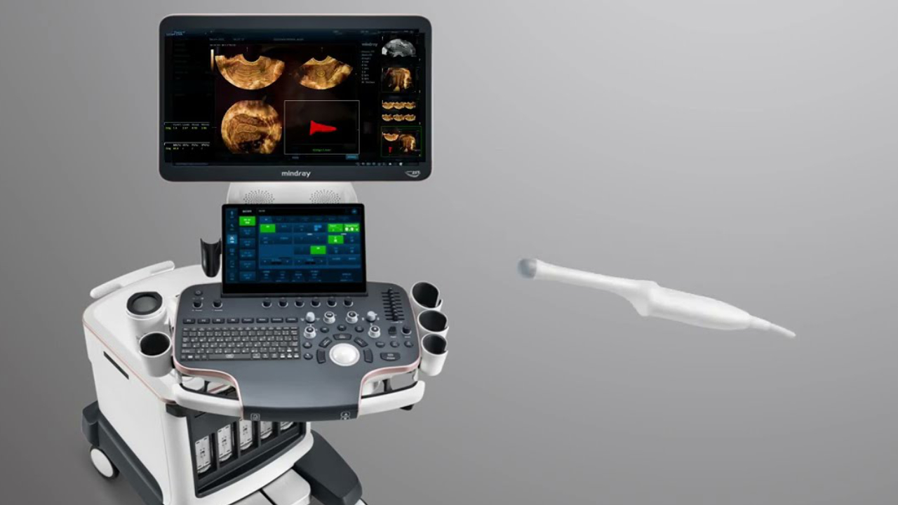 pg电子游戏(试玩)官方网站-APP下载