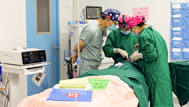 pg电子游戏(试玩)官方网站-APP下载