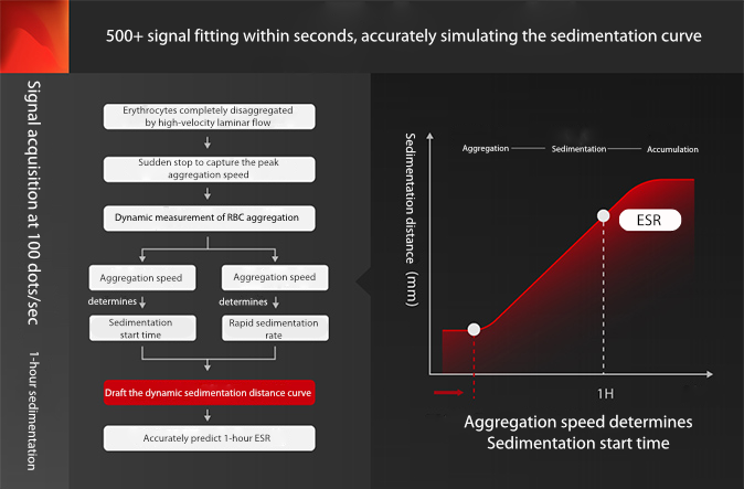 Mindray Easy-W: Sistemik Lupus Eritematozusun Aktivitesini ve ?iddetini Tahmin Etmek i?in Yeni Bir Potansiyel Biyobelirte? Olarak ESR Kullan?lmas?