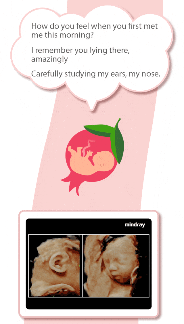 078d0672-b6ce-440e-97a6-72461afbf937_11