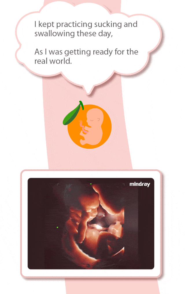 078d0672-b6ce-440e-97a6-72461afbf937_9