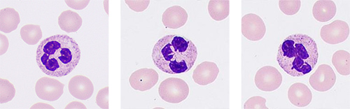 pg电子游戏(试玩)官方网站-APP下载