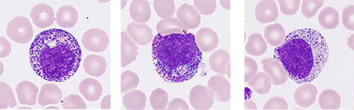 pg电子游戏(试玩)官方网站-APP下载