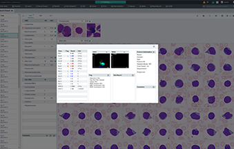 pg电子游戏(试玩)官方网站-APP下载