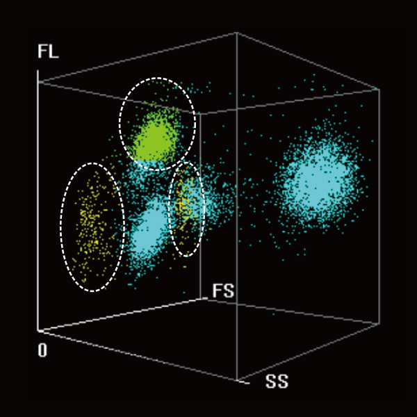 pg电子游戏(试玩)官方网站-APP下载