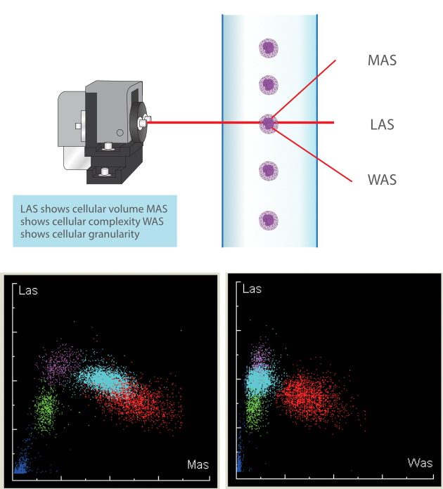BC-5000 Auto Hematology Analyzer