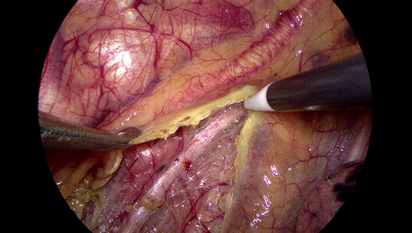pg电子游戏(试玩)官方网站-APP下载