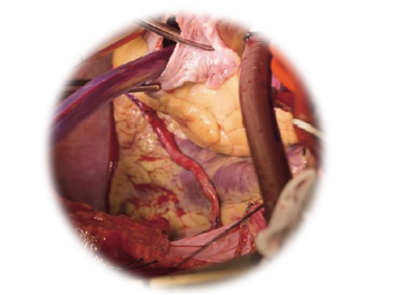 pg电子游戏(试玩)官方网站-APP下载