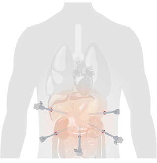 pg电子游戏(试玩)官方网站-APP下载