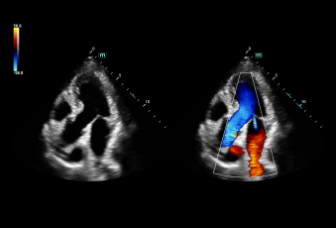 pg电子游戏(试玩)官方网站-APP下载