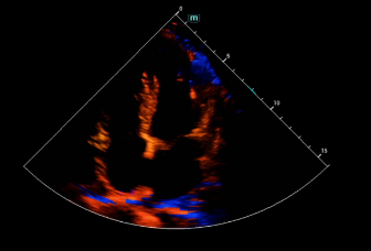 pg电子游戏(试玩)官方网站-APP下载