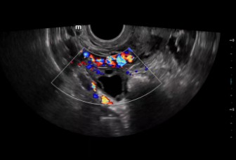 pg电子游戏(试玩)官方网站-APP下载