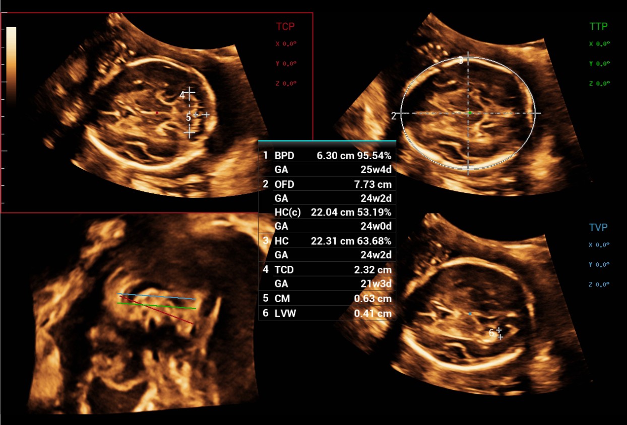 pg电子游戏(试玩)官方网站-APP下载