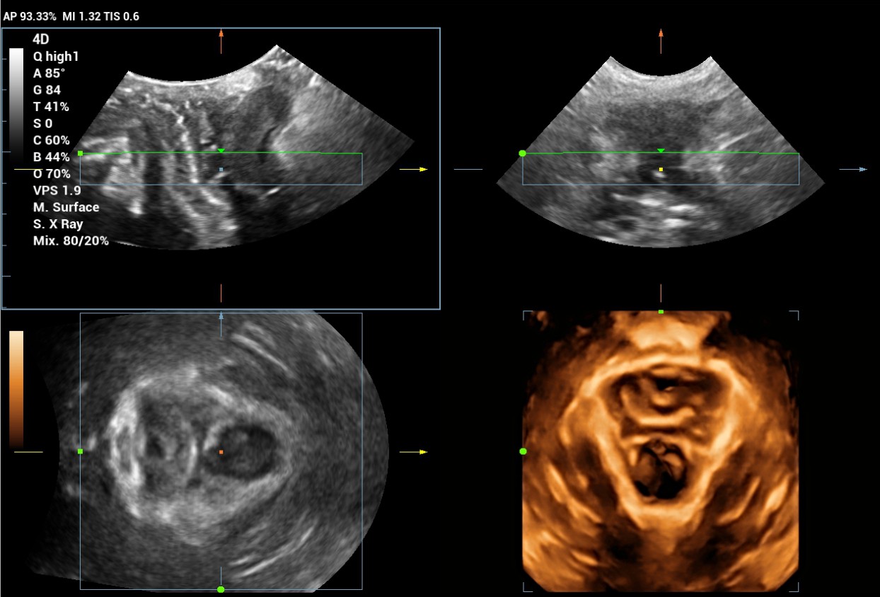 pg电子游戏(试玩)官方网站-APP下载