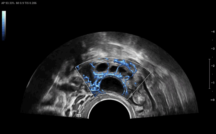 pg电子游戏(试玩)官方网站-APP下载