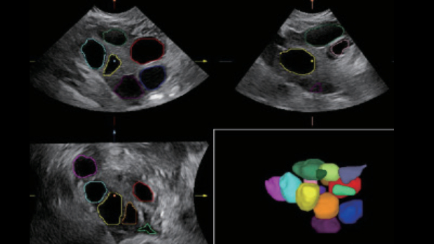 pg电子游戏(试玩)官方网站-APP下载
