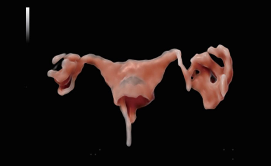 pg电子游戏(试玩)官方网站-APP下载