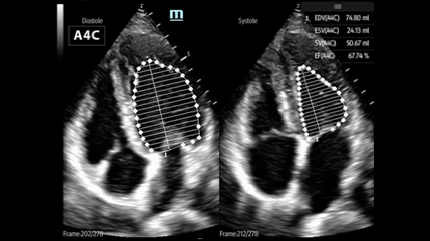 pg电子游戏(试玩)官方网站-APP下载