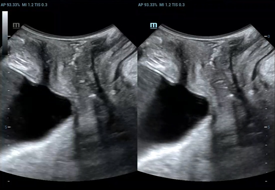 pg电子游戏(试玩)官方网站-APP下载