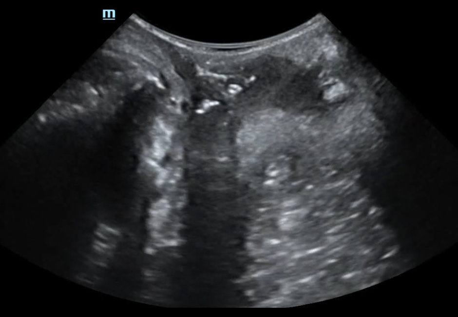 pg电子游戏(试玩)官方网站-APP下载