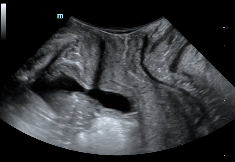 pg电子游戏(试玩)官方网站-APP下载