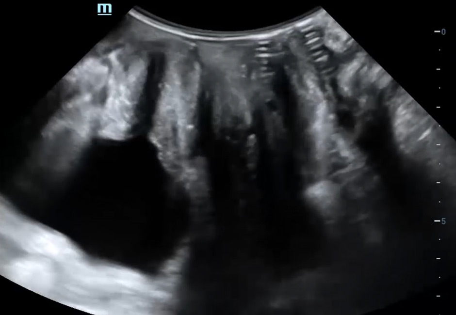 pg电子游戏(试玩)官方网站-APP下载