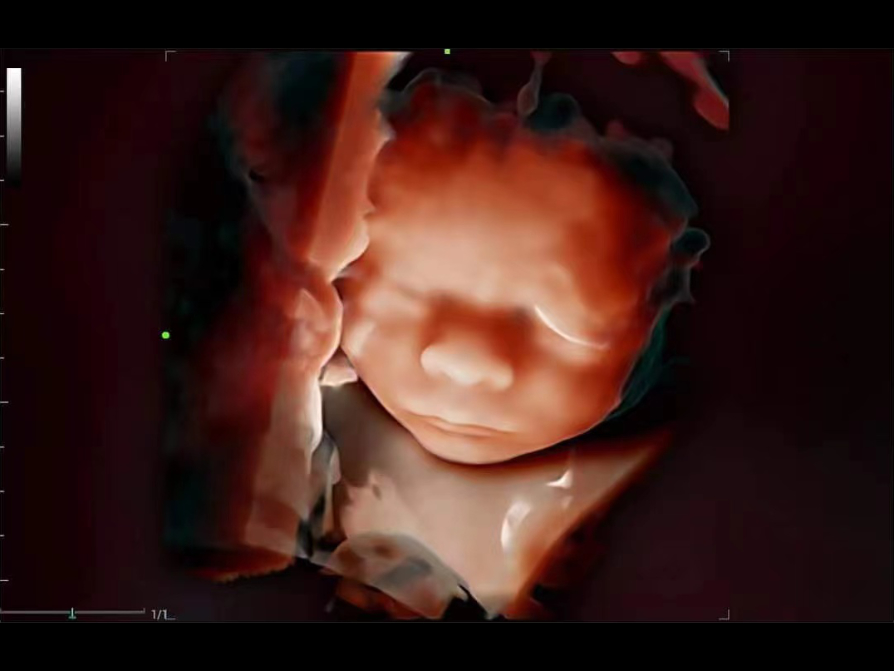 pg电子游戏(试玩)官方网站-APP下载