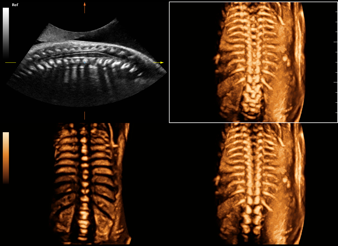 pg电子游戏(试玩)官方网站-APP下载