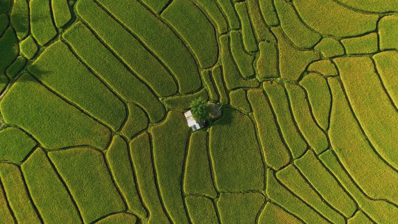 pg电子游戏(试玩)官方网站-APP下载