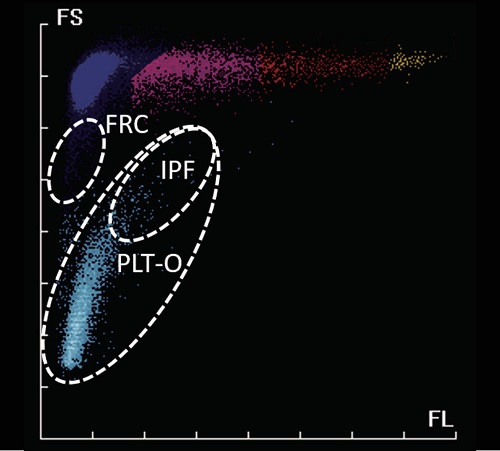 pg电子游戏(试玩)官方网站-APP下载