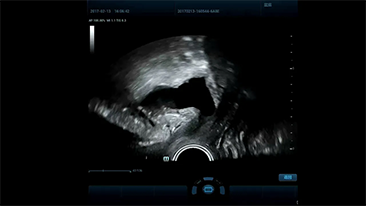 pg电子游戏(试玩)官方网站-APP下载