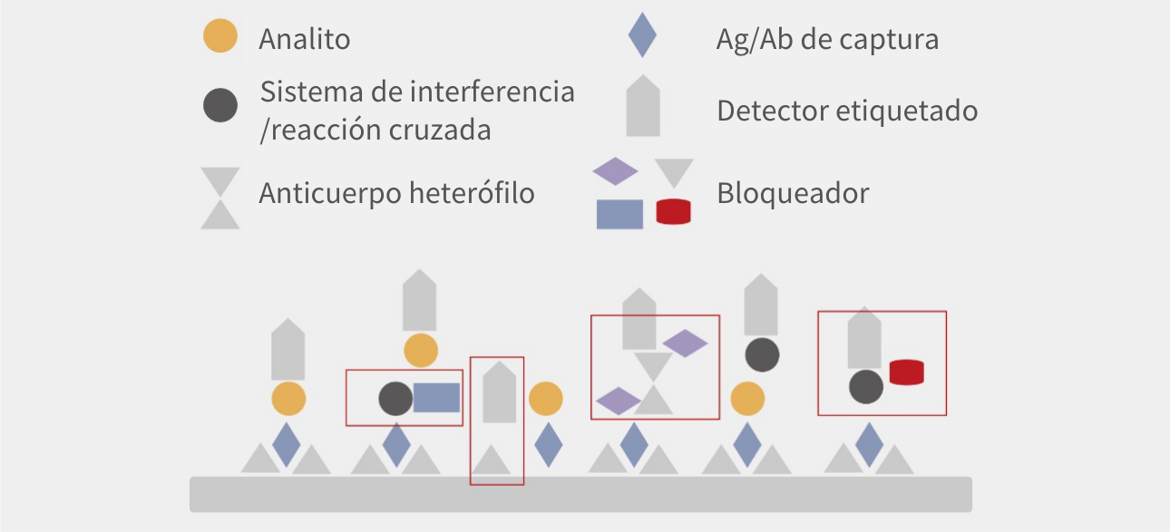 Fórmulas avanzadas y modelos de reacción