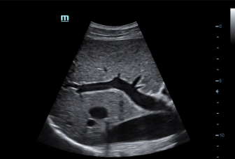 pg电子游戏(试玩)官方网站-APP下载