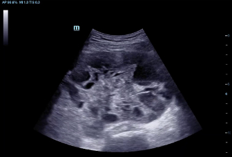 pg电子游戏(试玩)官方网站-APP下载