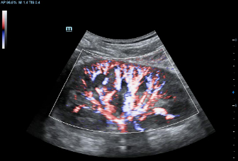 pg电子游戏(试玩)官方网站-APP下载