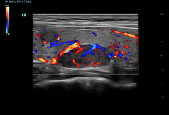 pg电子游戏(试玩)官方网站-APP下载