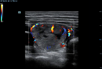 pg电子游戏(试玩)官方网站-APP下载