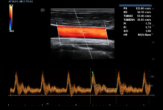 pg电子游戏(试玩)官方网站-APP下载
