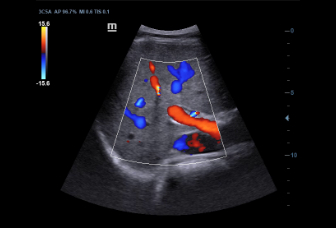 pg电子游戏(试玩)官方网站-APP下载