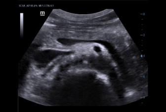 pg电子游戏(试玩)官方网站-APP下载