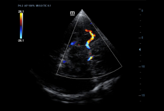 pg电子游戏(试玩)官方网站-APP下载