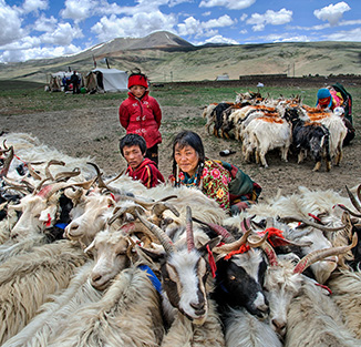 pg电子游戏(试玩)官方网站-APP下载