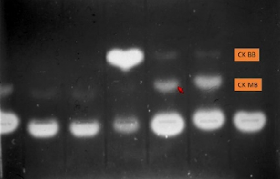 pg电子游戏(试玩)官方网站-APP下载