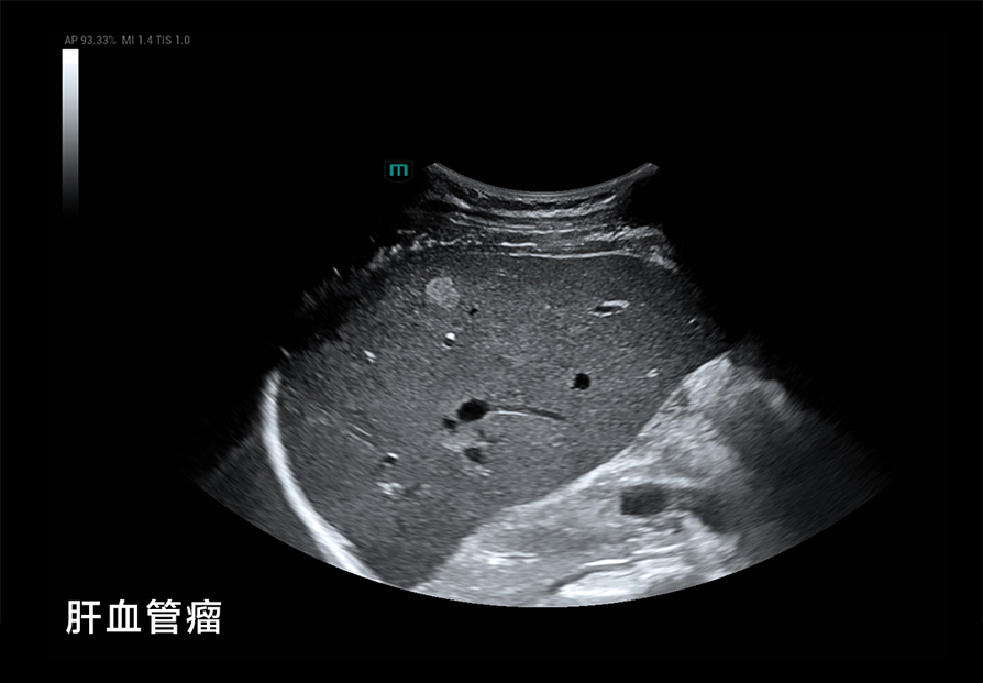 pg电子游戏(试玩)官方网站-APP下载