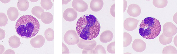 pg电子游戏(试玩)官方网站-APP下载