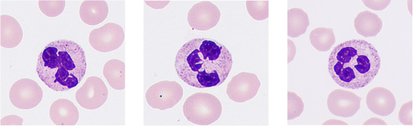 pg电子游戏(试玩)官方网站-APP下载
