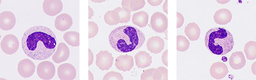 pg电子游戏(试玩)官方网站-APP下载