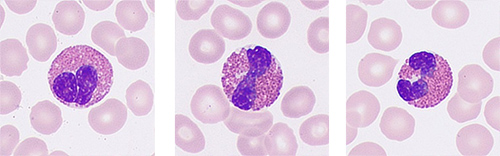 pg电子游戏(试玩)官方网站-APP下载