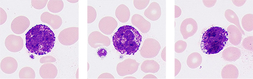 pg电子游戏(试玩)官方网站-APP下载