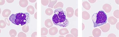 pg电子游戏(试玩)官方网站-APP下载